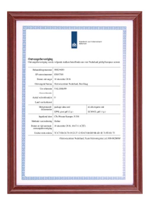 dutch invention patent 1