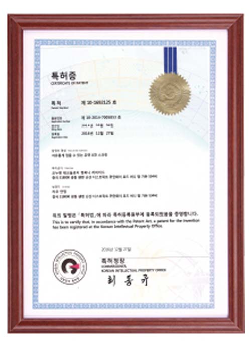 korean invention patent