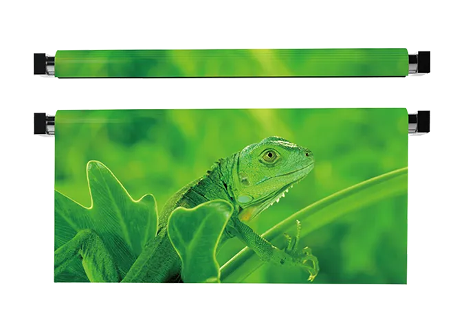 HD Mounting Rolling LED Display