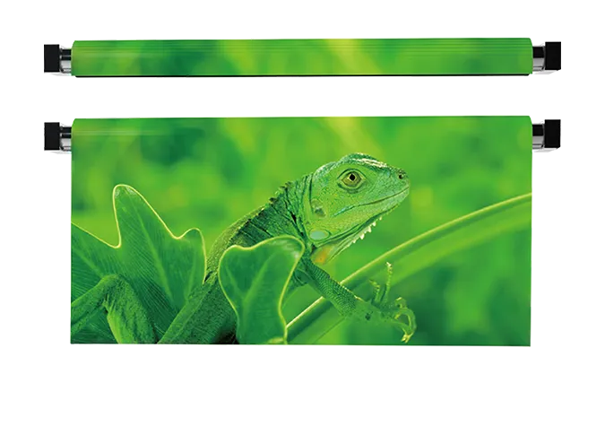 HD Mounting Rolling LED Display