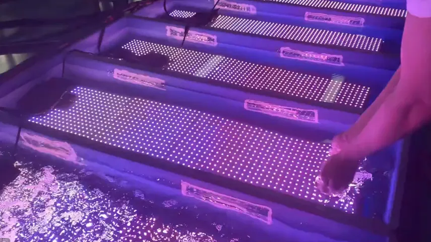 Outdoor Folding LED Screen Waterproof Test High Protection Performance